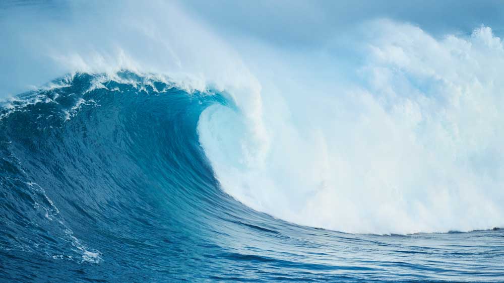 The Bankruptcy Tsunami Remains Offshore