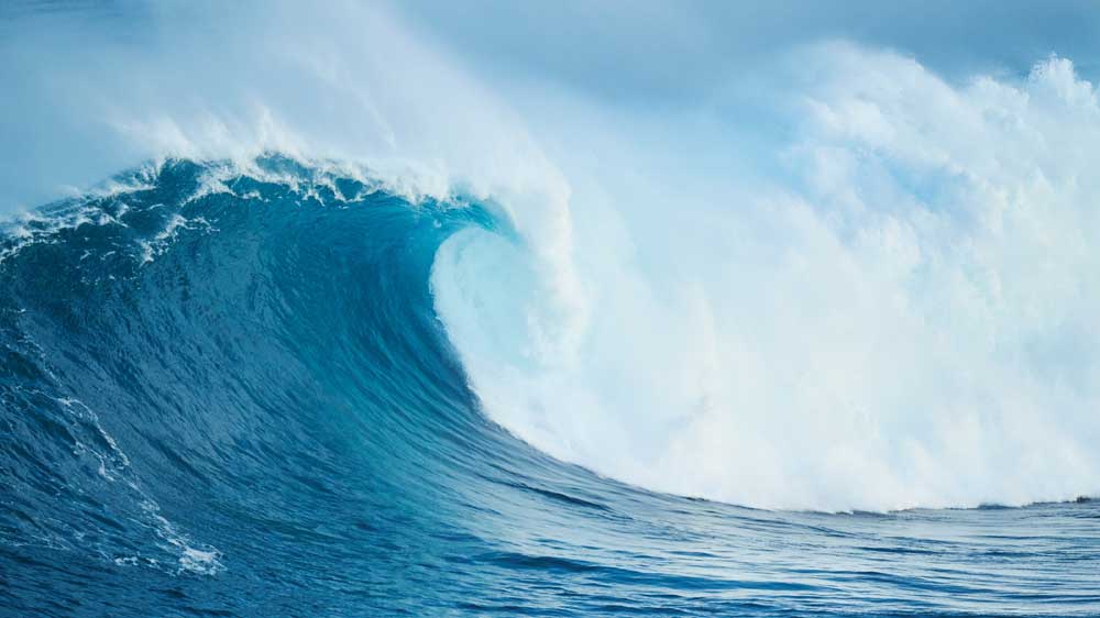 Bankruptcy-Tsunami